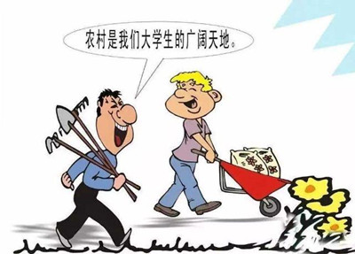 考公、考研難度高，應(yīng)屆生你還有4種選擇